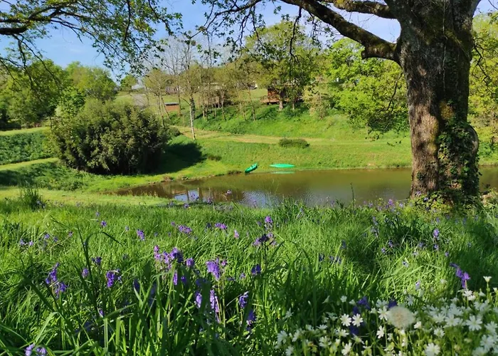 Mobil-home Avec Terrasse - 6 Pers. - Api-1-52-2013 אתר קמפינג *