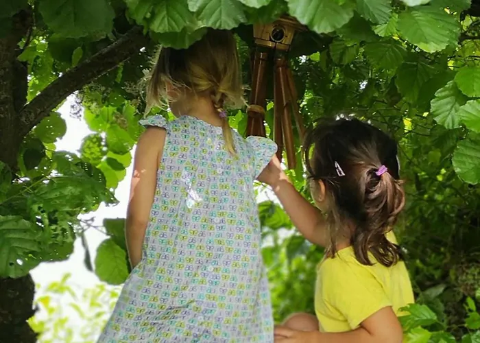 Mobil-home Avec Terrasse - 6 Pers. - Api-1-52-2013 אתר קמפינג