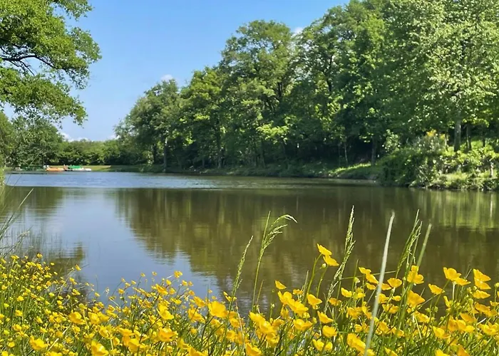 אתר קמפינג Mobil-home Avec Terrasse - 6 Pers. - Api-1-52-2013 Maulévrier